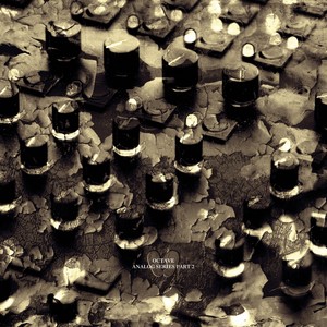 Feed On (Original Mix)