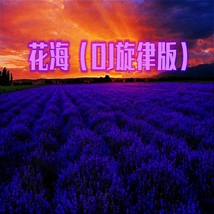 花海 (DJ旋律版)封面