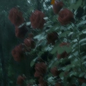 roomfornow. (Explicit)