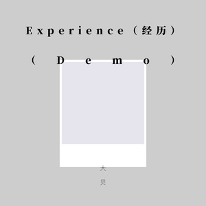 Experience（经历）（Demo）