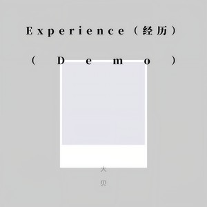 Experience(经历) (Demo)
