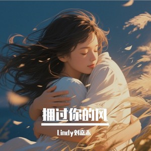拥过你的风封面