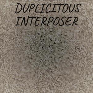 Duplicitous Interposer