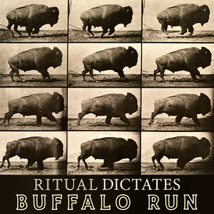 Buffalo Run