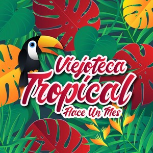 Viejoteca Tropical / Hace un Mes