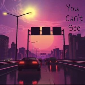 You Can't See