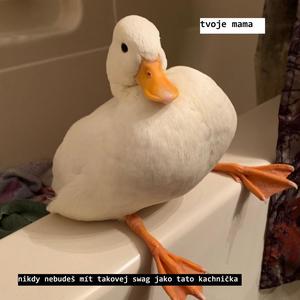 školňobusový masáček. (Explicit)