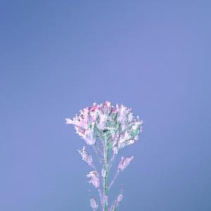 this is the end. (feat. Pills 888)