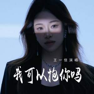我可以抱你吗封面