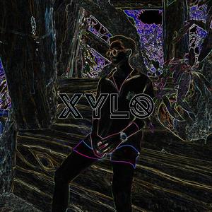 I Like To Move It (XYLØ Baile)