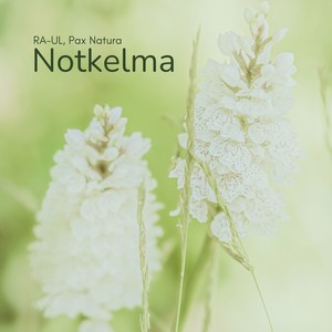 Notkelma