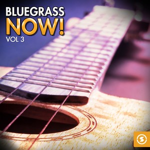 Bluegrass Now!, Vol. 3