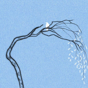 Wind Letter（绝版的昨天)