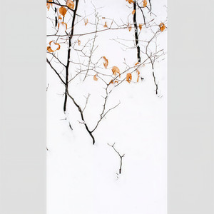 无情画 (COVER版)