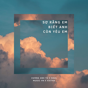 Sợ Rằng Em Biết Anh Còn Yêu Em (Lofi)