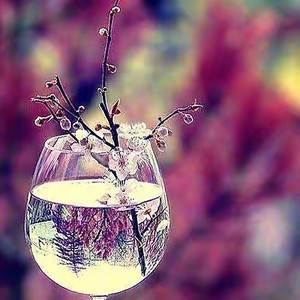 我想把最好的都给你