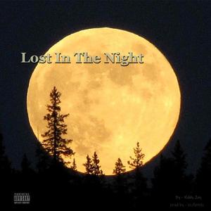 Lost In The Night