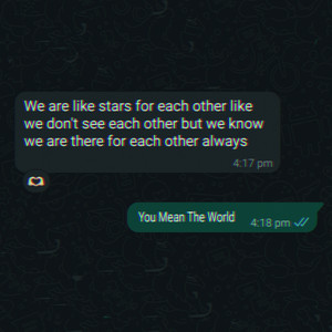 We Are Like Stars