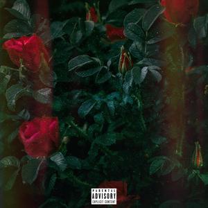 Text (feat. S.W.O.T) (Explicit)