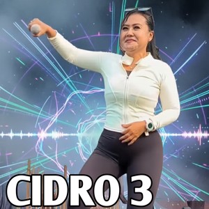 CiDRO 3
