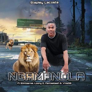 Ngamandla (feat. Slimteersa, Loony Q, Pantasbash & Vine98)