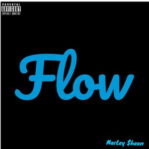 FLOW (Explicit)