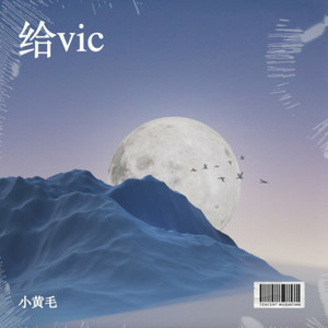 给vic