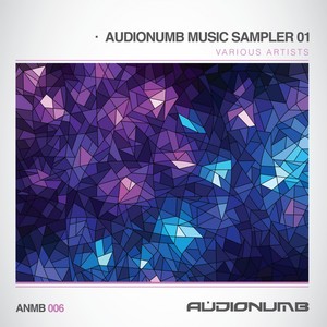 Audionumb Music Sampler Vol.1