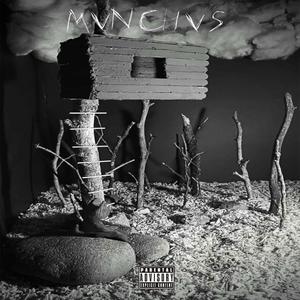 MVNCHVS (Explicit)