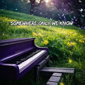 Somewhere Only We Know