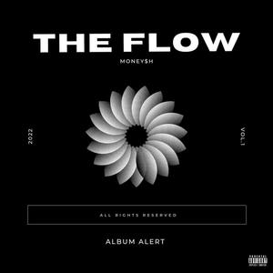 The Flow (Explicit)