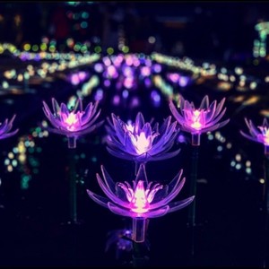 きっと、うまくいくから