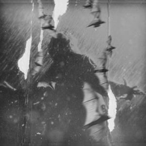 IDGAF ABOUT LIFE (Explicit)