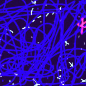 LONE142/// (feat. kuo) (Version 3)