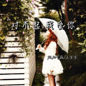 施杨艺淼 - 对不起，我爱你