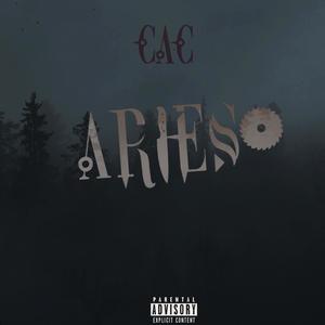 ARIES (Explicit)