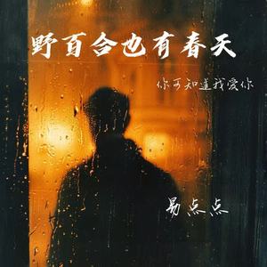 易点点 - 野百合也有春天（你可知道我爱你）