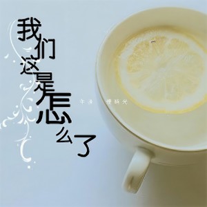 我们这是怎么了封面