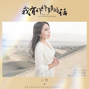 我有许许多多的话 (DJ版)