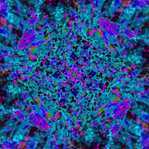 compassion collapse (feat. MANAPOOL)