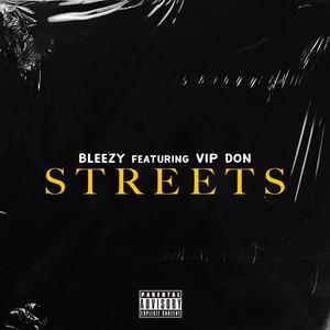 Streets (feat. Vip Don) [Explicit]