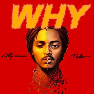 WHY (feat. titshot) [Explicit]