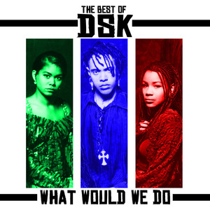 The Best Of - What Would We Do