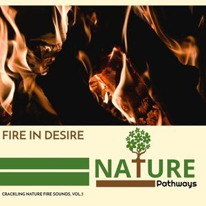 Fire in Desire - Crackling Nature Fire Sounds, Vol.3