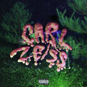 CARL ZEISS (Explicit)