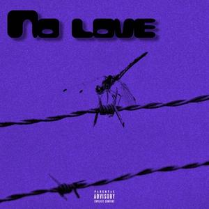 No Love (Explicit)