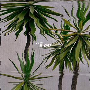 Lost (feat. ripian)