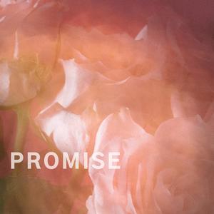 Promise (feat. MLB Smoke) [Explicit]