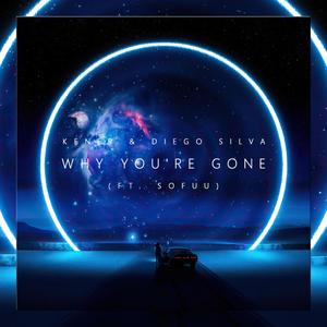 Why You're Gone(feat. Sofuu)