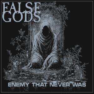 Enemy That Never Was